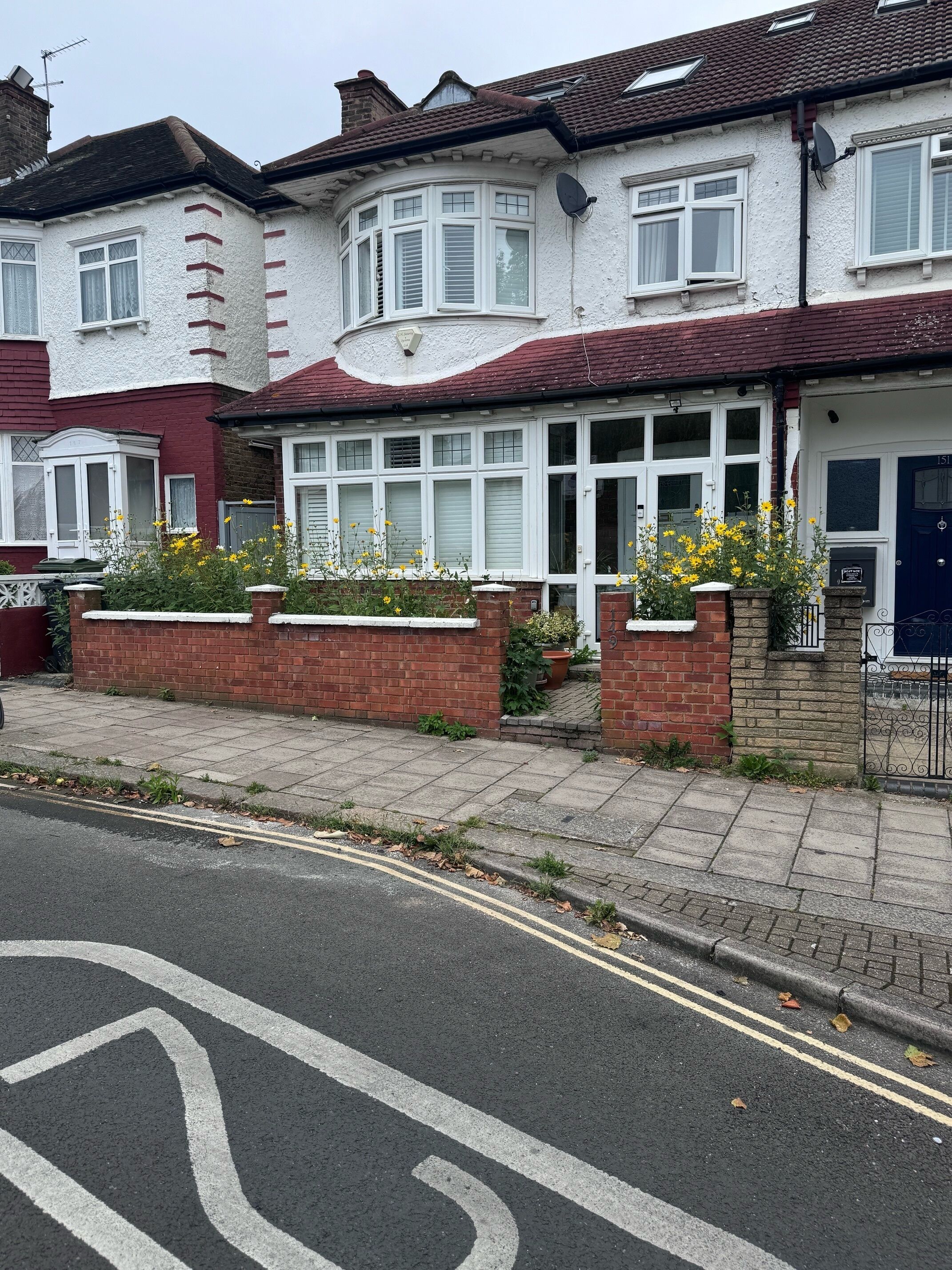 A row of terraced houses with bay windows and a front garden with yellow flowers.