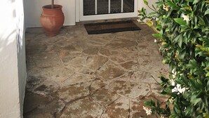 A potted plant, a door with a glass panel, and a stone-paved entrance.