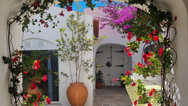 An arched entrance with potted plants and a tiled floor.