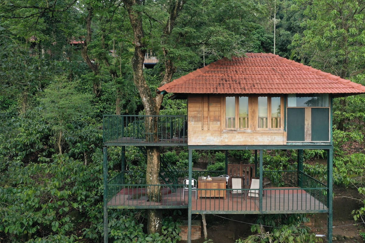 A wooden house with a red roof, elevated on stilts, surrounded by dense forest.