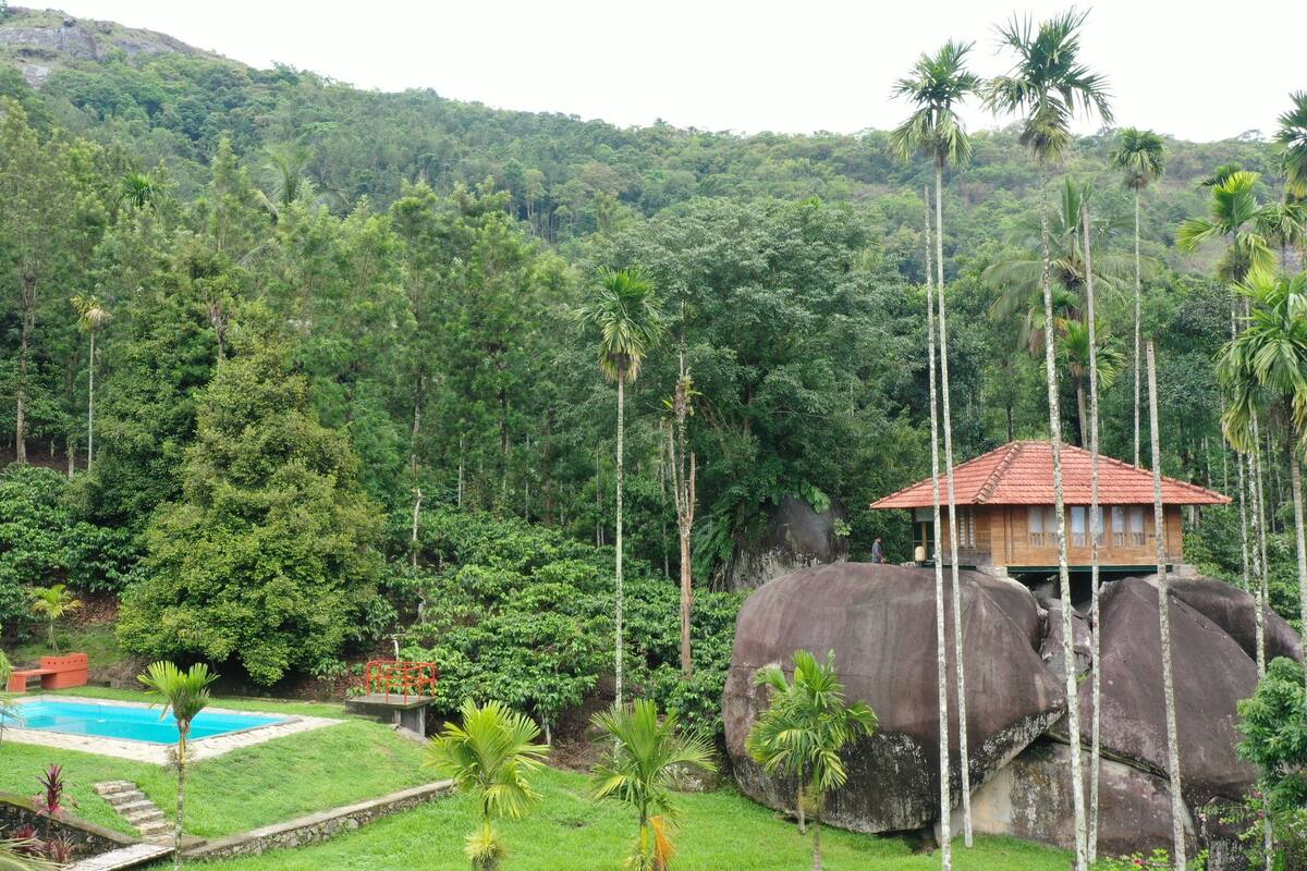 A large elephant statue with a small building on top, surrounded by lush greenery and a swimming pool.