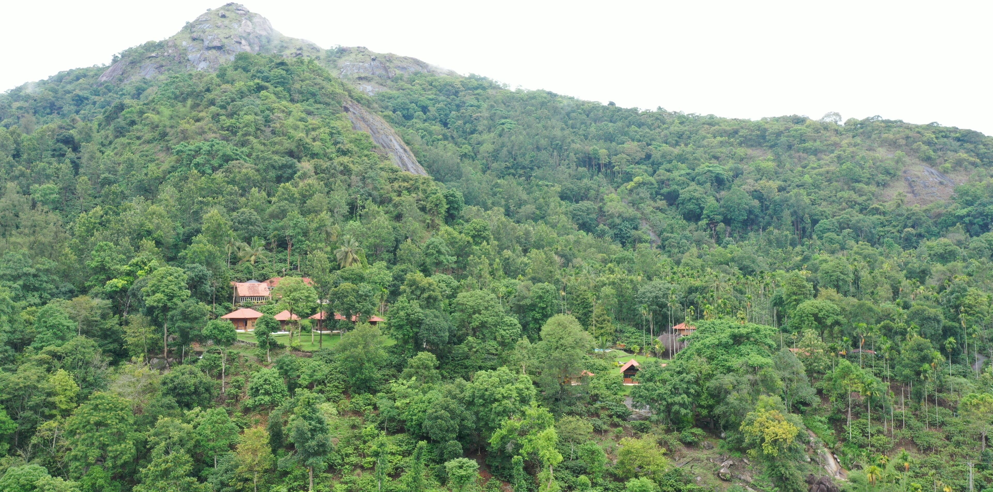 Eine gebirgige Landschaft mit dichtem Wald und mehreren Gebäuden mit roten Dächern, die zwischen den Bäumen liegen.