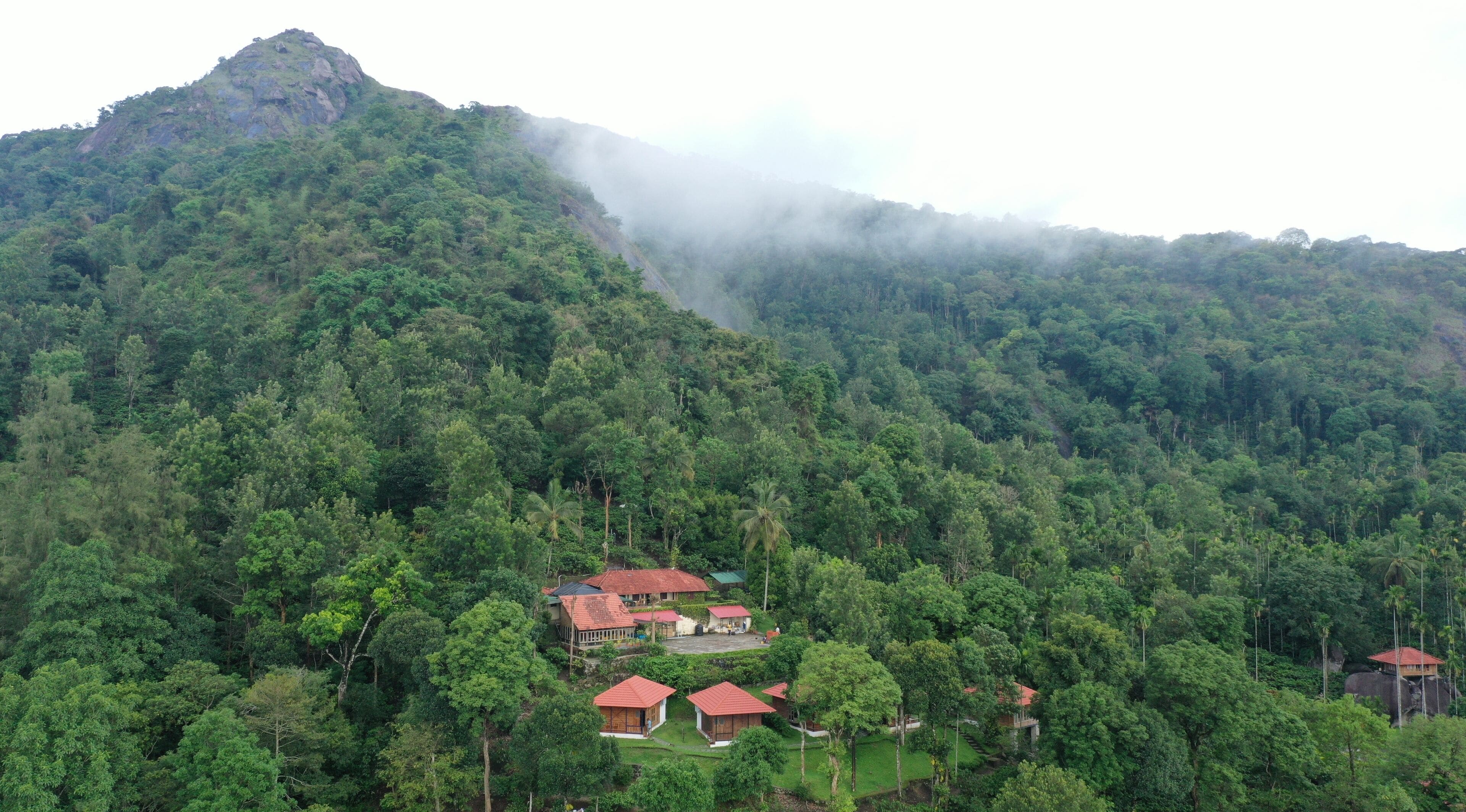 Zona montañosa con un bosque denso, varias construcciones pequeñas con tejados rojos y un elefante grande en primer plano.