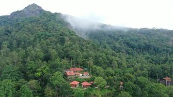 Zona montañosa con un bosque denso, varias construcciones pequeñas con tejados rojos y un elefante grande en primer plano.