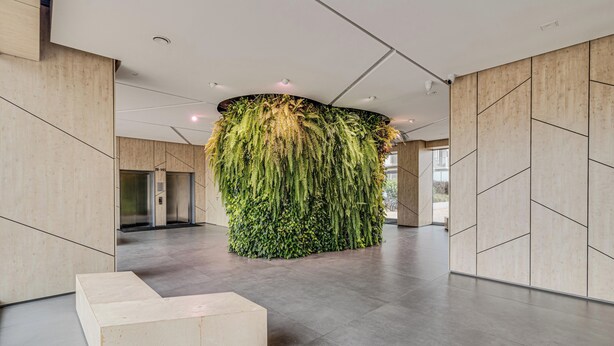 A modern lobby with a central green wall, a reception desk, and a clear view of the elevator area.