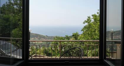 Villa Dino - Casa Flowers