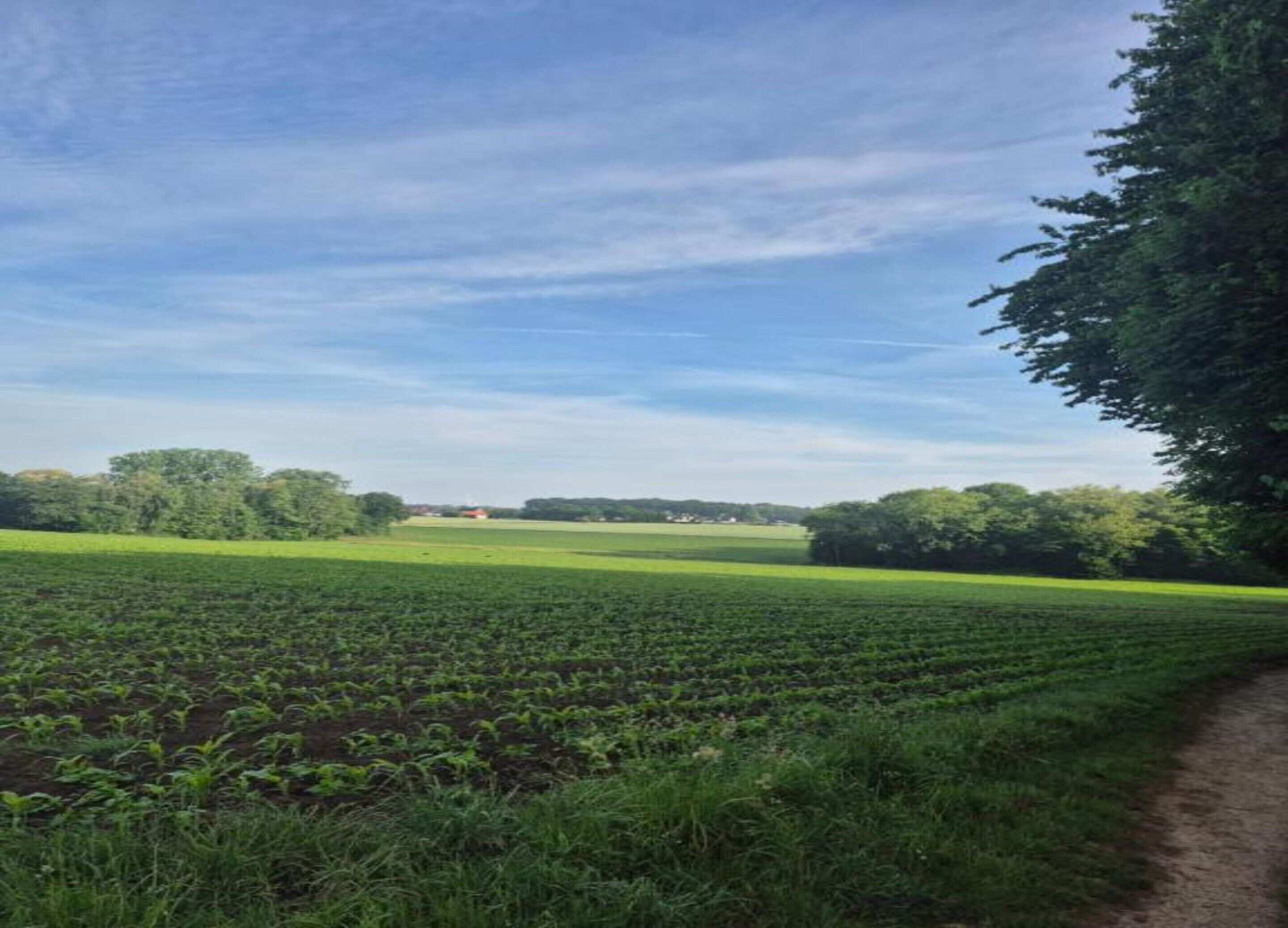 Vue depuis l’hébergement