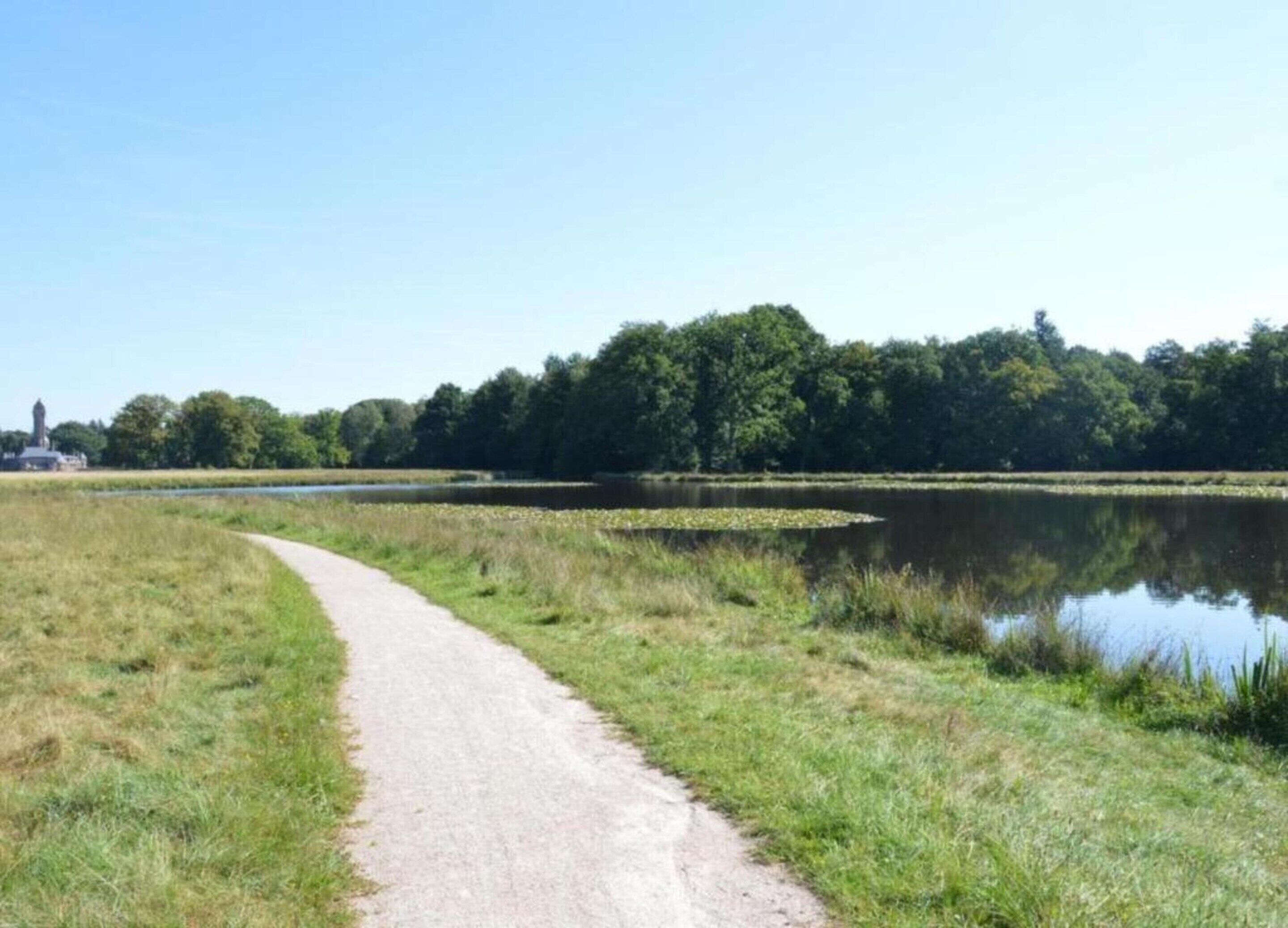 A gravel path leading to a body of water with a forest in the background.