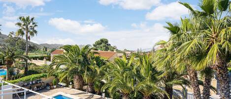 House | Pool | Indoor pool, outdoor pool