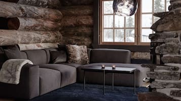 TV, fireplace, books