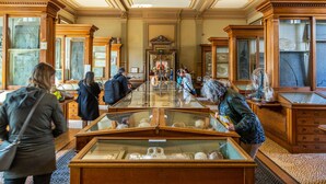 Un musée dont les objets exposés sont présentés dans des vitrines en verre.