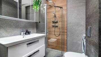 Hair dryer, slippers, towels, toilet paper