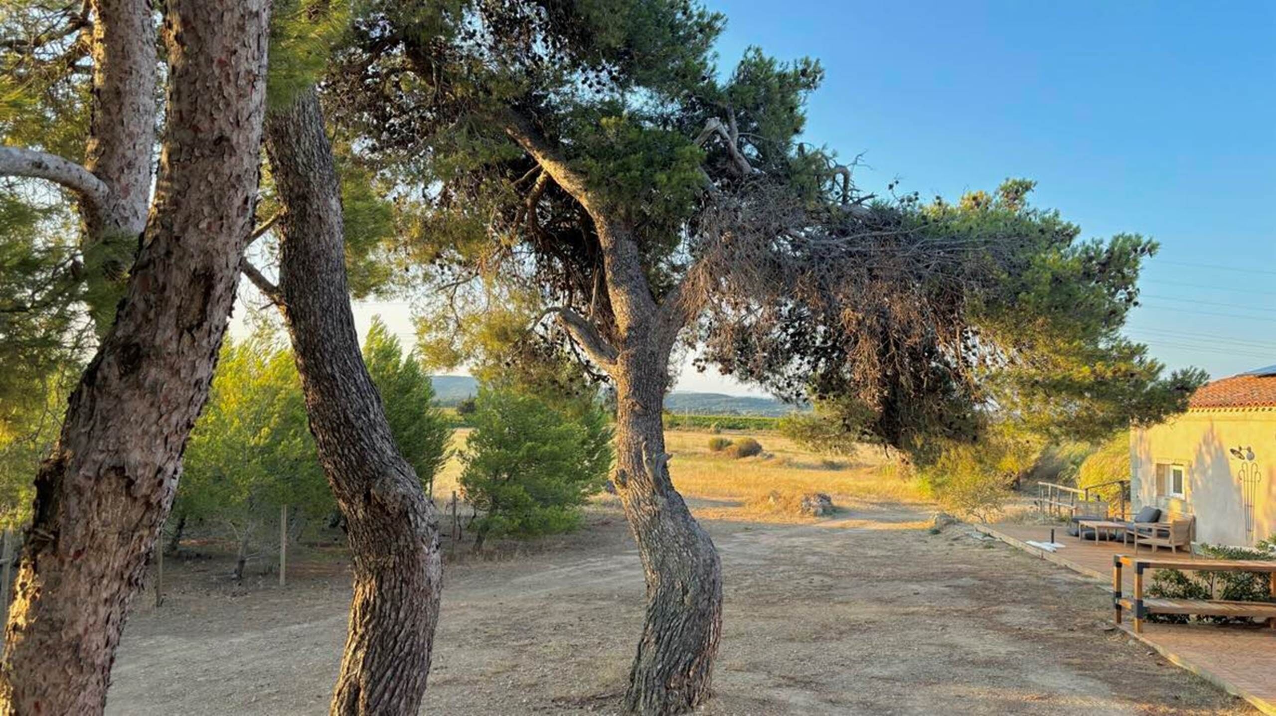 Terrein van de accommodatie