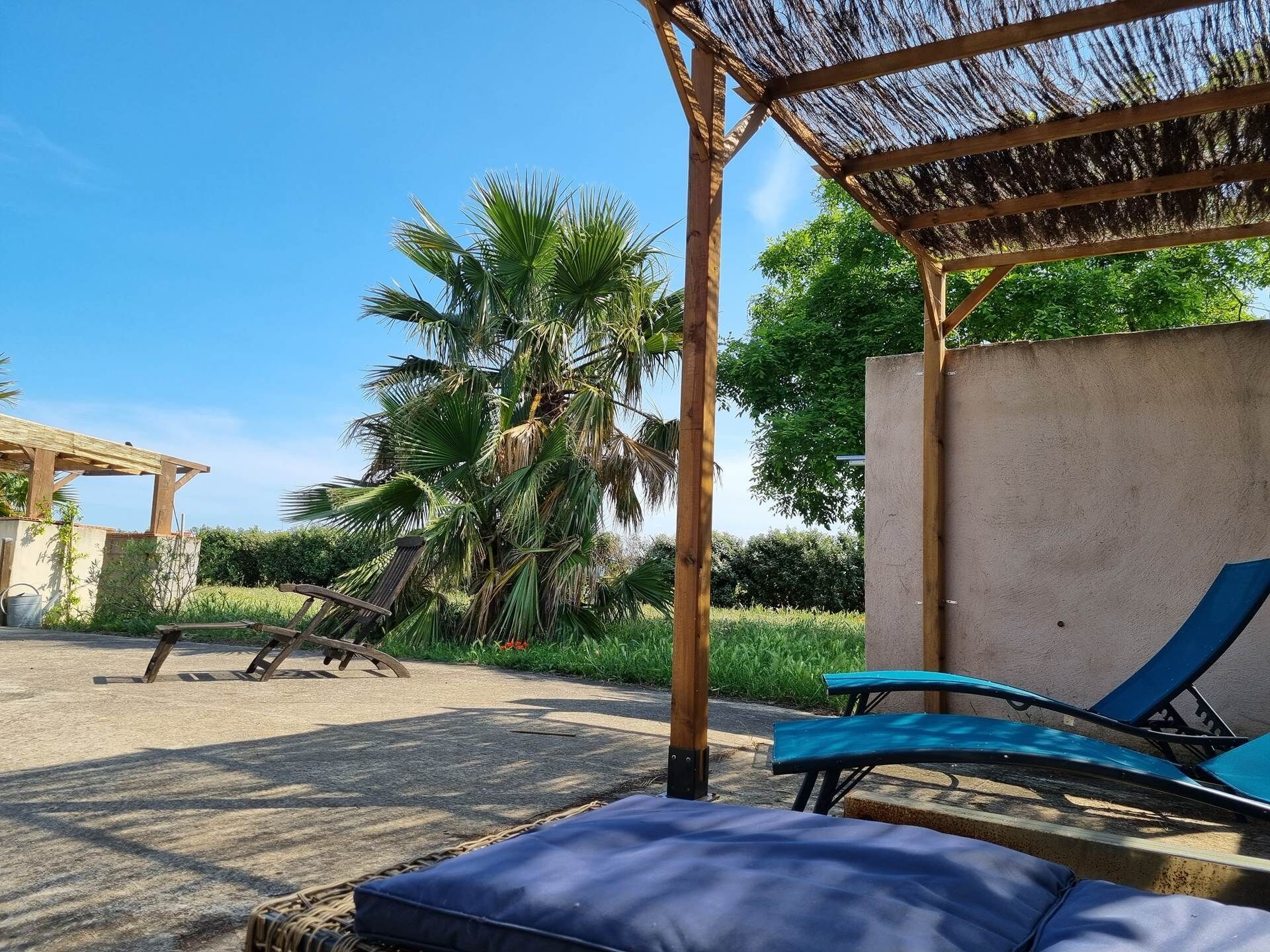 A beachside lounge area with a thatched roof, a concrete wall, and a palm tree.