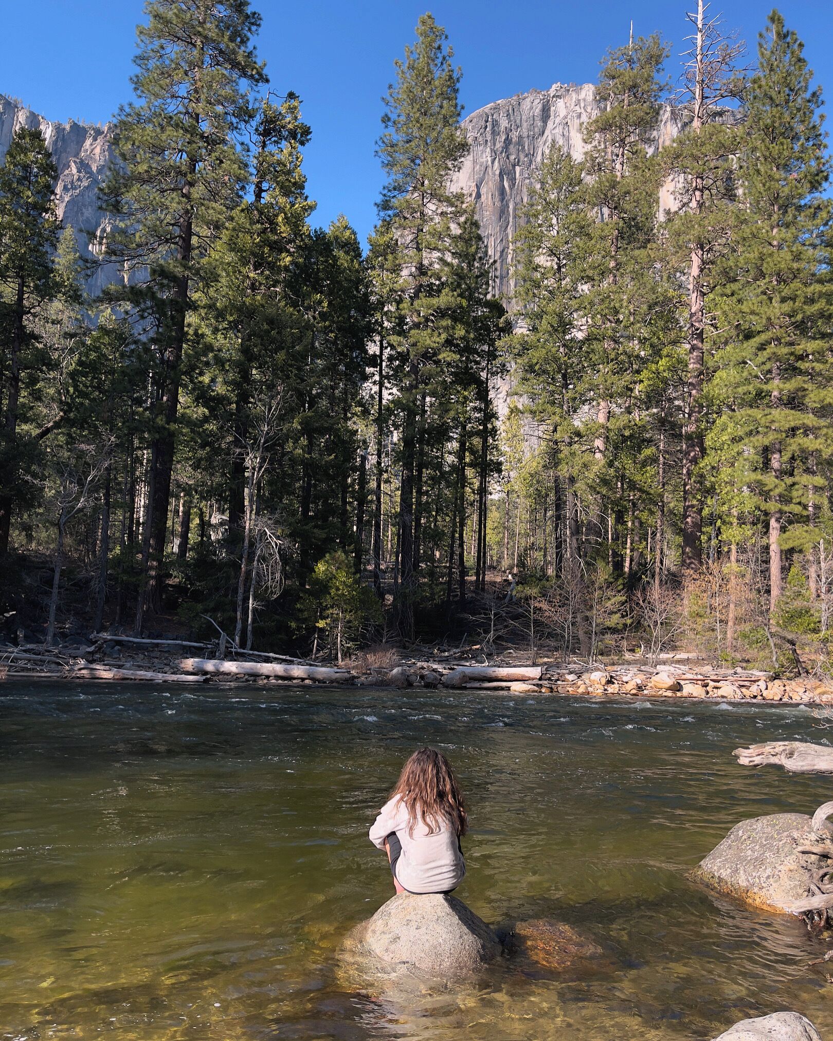 Charming 2-bedroom cottage in rural Mariposa near Yosemite National Park 
