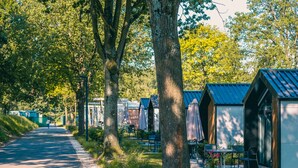 A row of mobile homes with outdoor seating areas, a paved path, and trees lining the street. - Charming Chalet 2 km. of the Efteling (Kaatsheuvel)