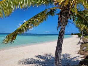 Una playa con agua turquesa cristalina, una orilla arenosa y palmeras.