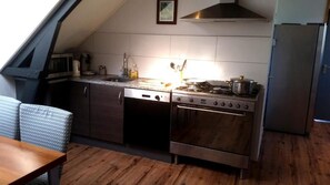 ثلاجة/مجمد بحجم كبير، ميكروويف، فرن، موقد طهي مسطح