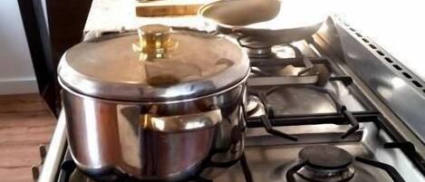 Stort kylskåp, mikrovågsugn, ugn och spishäll