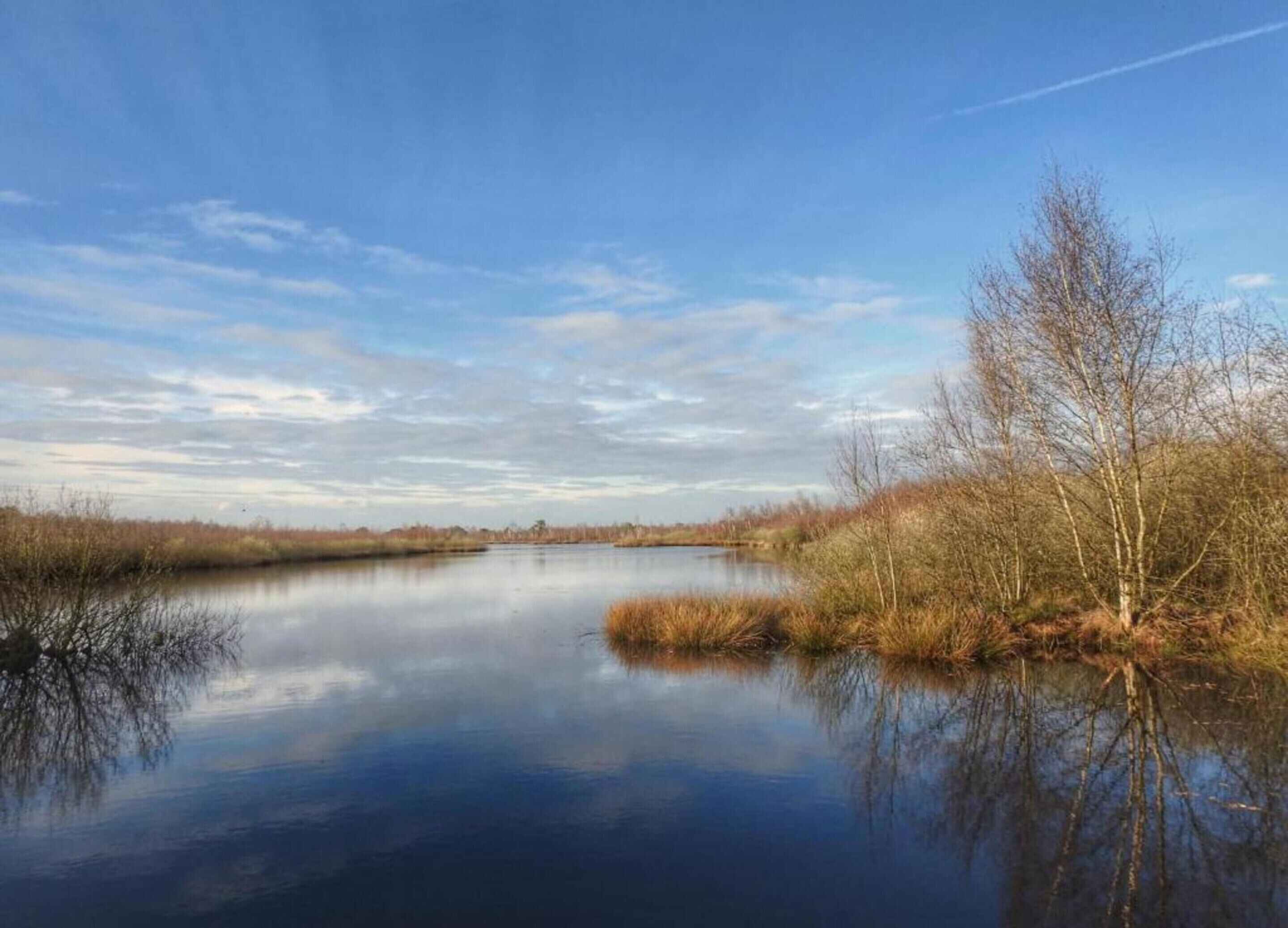 Ein ruhiger Fluss mit wenig Vegetation und Bäumen an den Ufern.