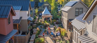 Academy Place | Wild Iris