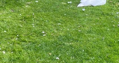 Apartment Near the Picturesque Llangollen Aqueduct