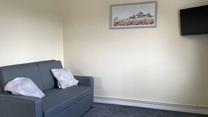 Un salon avec un canapé gris, deux coussins à motifs, un tableau représentant un paysage encadré et un téléviseur à écran plat fixé au mur.