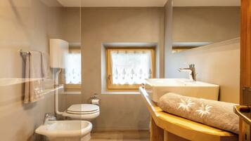 Shower, hair dryer, bidet, towels