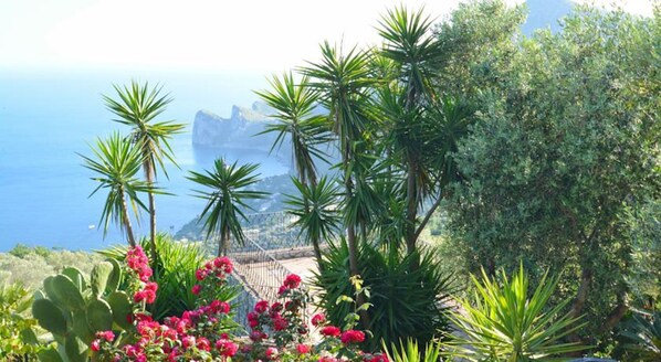 Apartment | 2 bedrooms, Internet - Neranya Resort - Positano Suite (Massa Lubrense)