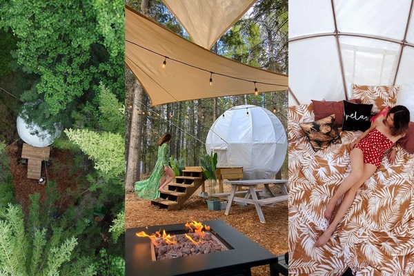 Alberta's only treehouse cocoon