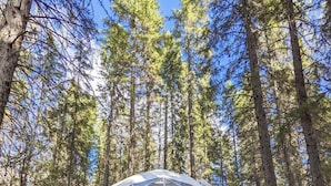 Una tienda en forma de domo geodésico en un bosque, con una hamaca y un perro cerca.