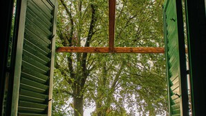 Puerta abierta que da a un área cubierta de césped con un árbol grande.