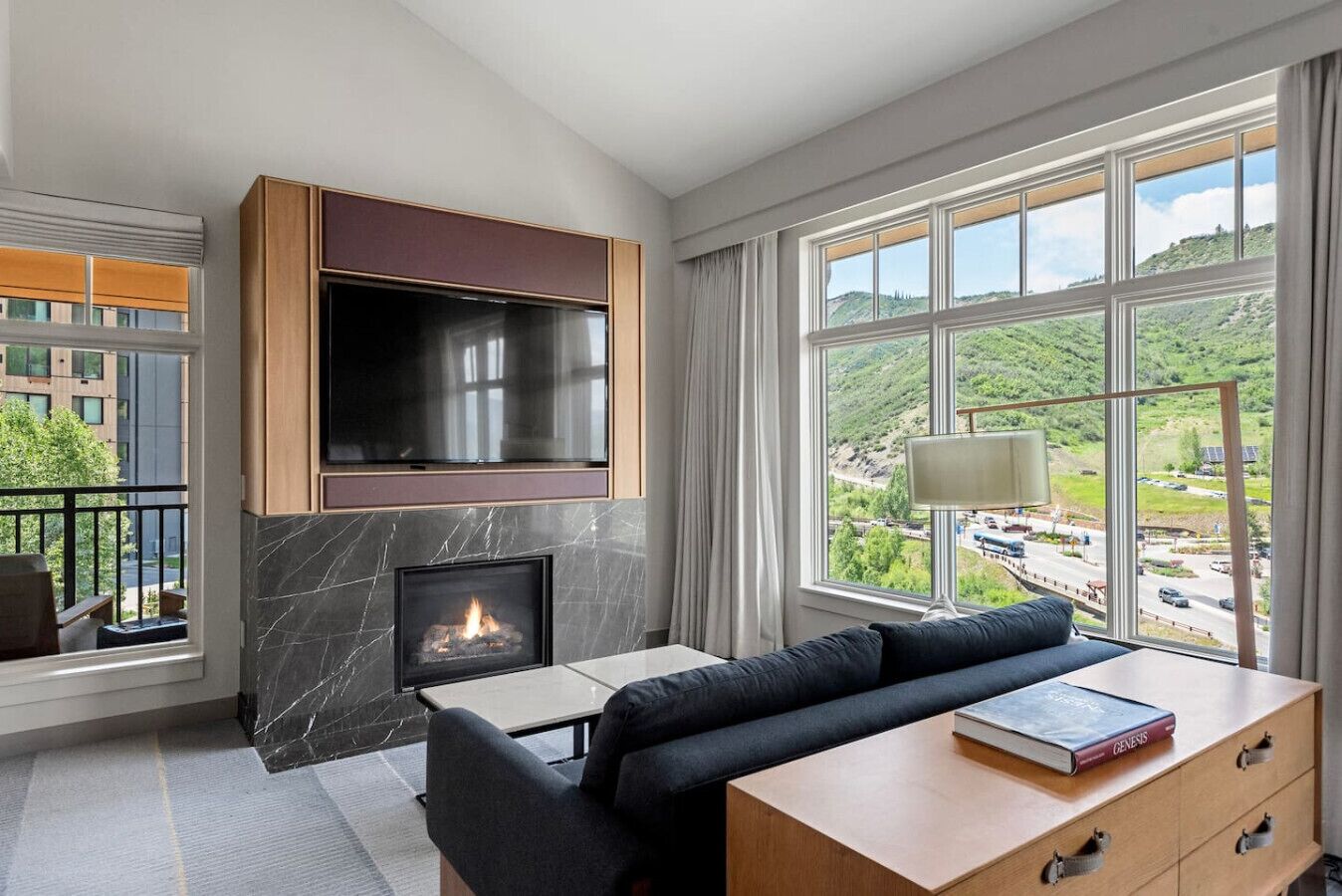 TV, fireplace, books