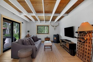 Smart TV y chimenea