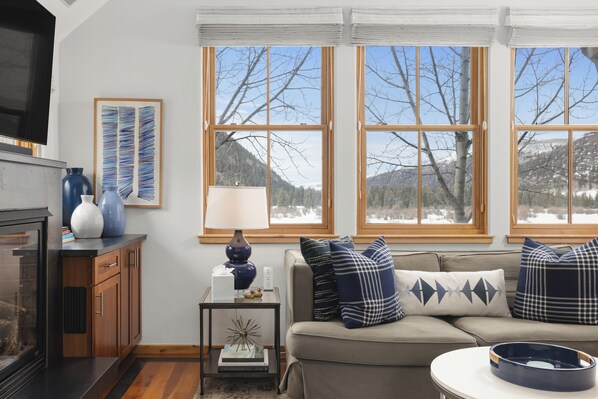 TV connectée, cheminée, livres, médiathèque