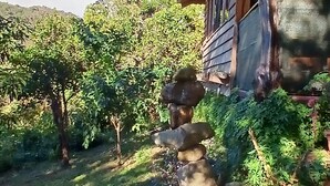A rustic building with a wooden porch and stone steps leading to a door. - Casa Monstera monteverde 

 (Monte Verde)