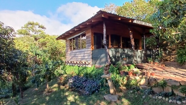 A rustic wooden cabin surrounded by lush greenery and a stone pathway. - Casa Monstera monteverde 

 (Monte Verde)