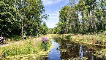 A calm river with dense trees on both sides, a narrow path on the left, and a few people enjoying the outdoors.