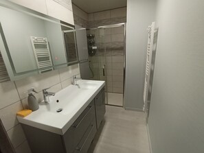 Shower, towels, toilet paper