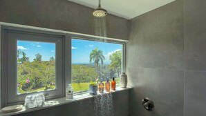 Une salle de bain avec une douche, une fenêtre donnant sur un espace verdoyant et des articles de toilette posés sur le rebord de la fenêtre.