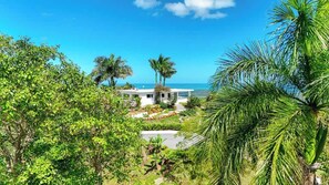 Property grounds - La Casita: Private Heated Pool W/ Ocean Views (Ceiba)
