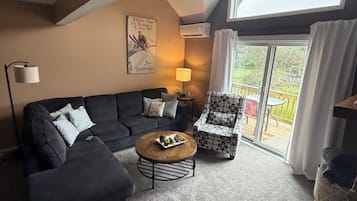 Smart TV, fireplace, DVD player, books