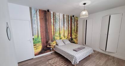 Appartement moderne dans la vieille ville 3 chambres 1er etg