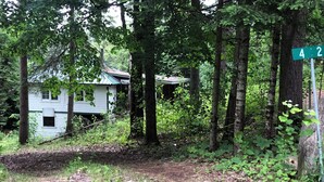 A rustic cabin with a green roof, surrounded by dense forest and a dirt path leading to it.