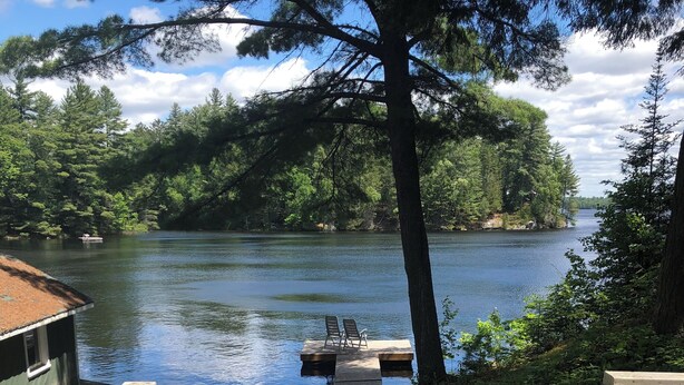 A wooden staircase leading to a dock with two chairs, surrounded by trees and a calm lake.
