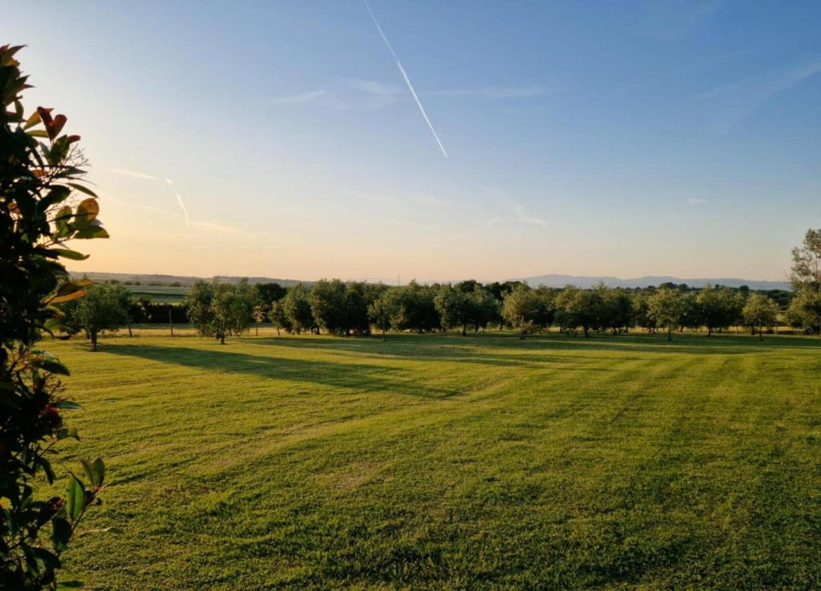 A wide, open grassy field with trees in the distance and a clear sky.
