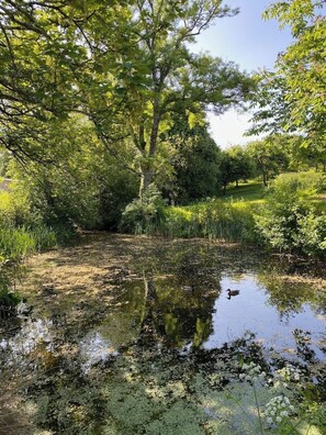 Property grounds - Pippin Cottage at Cann Orchard (BUDE)