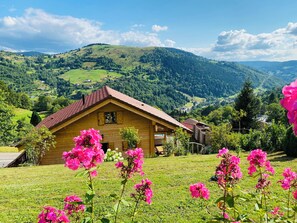 Property grounds - Chalet Cosy Home, spa et Sauna, 4p (La Bresse)