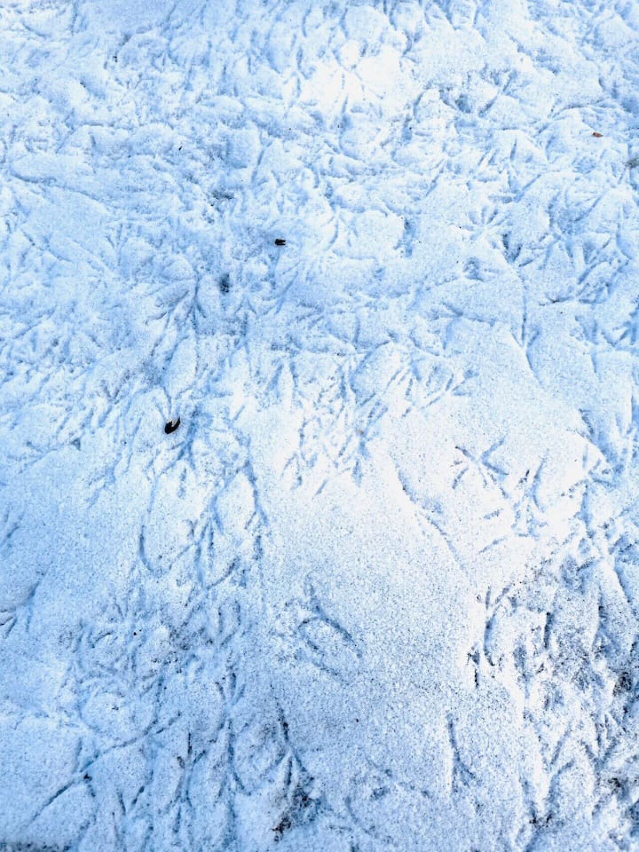 Primer pla de terra coberta de neu amb dibuixos complexos.