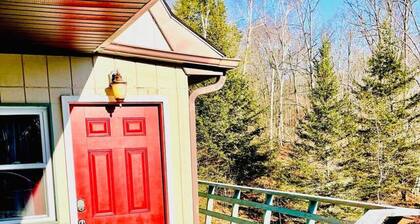 Catskills Apartment, Little Love Bird #5